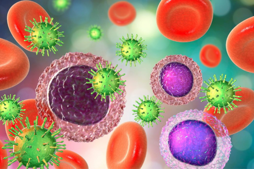 Sistema Inmune y Estilo de vida: Enfoque Micronutricional