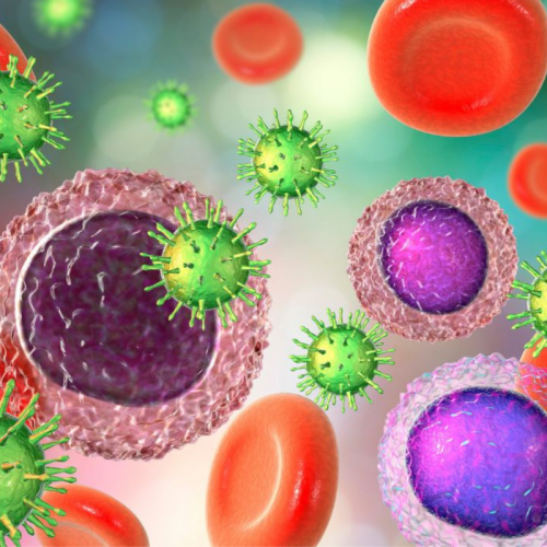Sistema Inmune y Estilo de vida: Enfoque Micronutricional