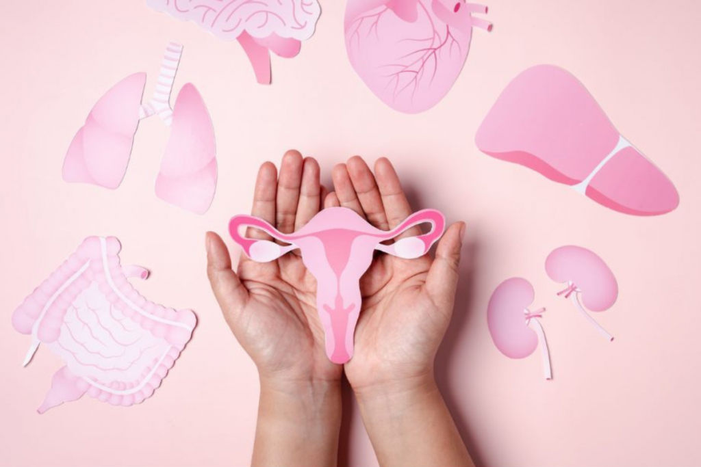 Bases de la Micronutrición Femenina: Etapas de la Vida
