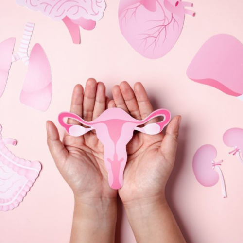 Bases de la Micronutrición Femenina: Etapas de la Vida