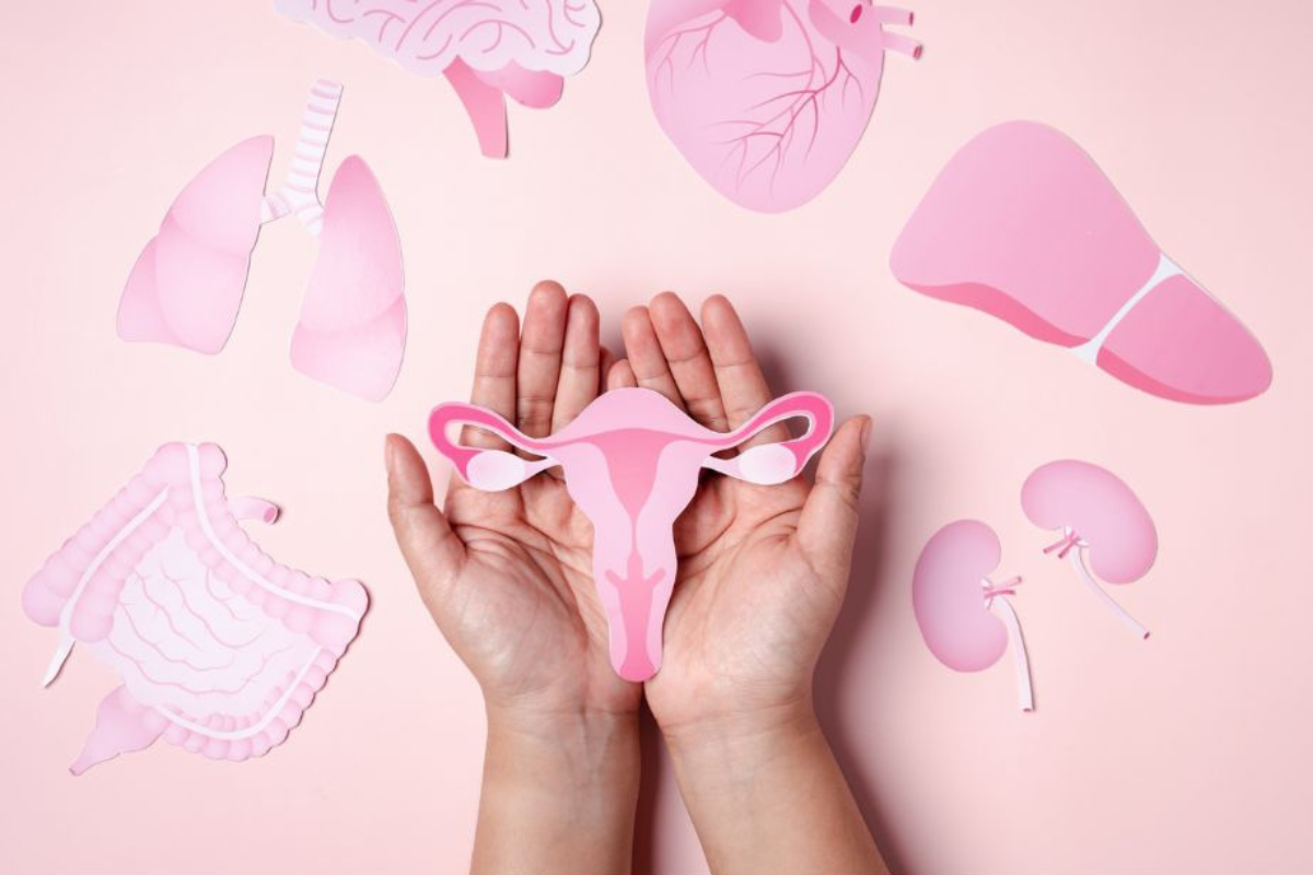 Bases de la Micronutrición Femenina: Etapas de la Vida