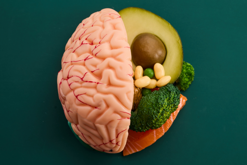 Nutrición Cerebral y Ritmos Biológicos