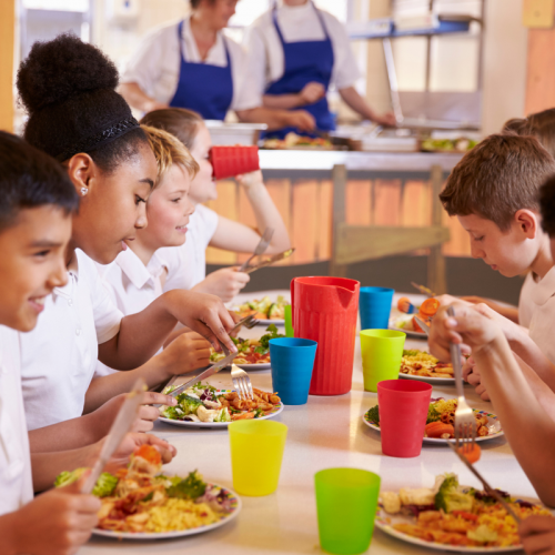 Raíces Saludables: Nutrición en el Ciclo Infantil - Juvenil