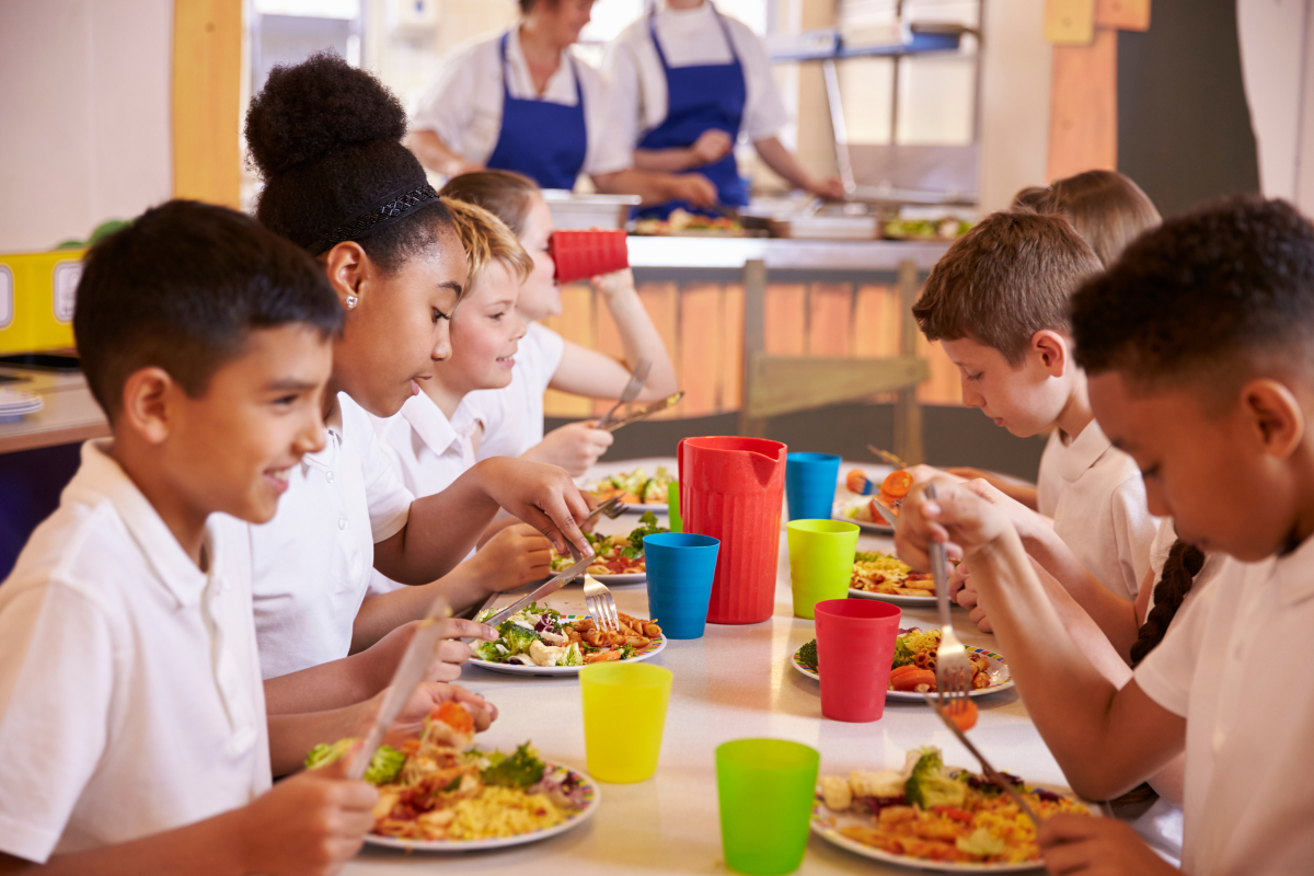 Raíces Saludables: Nutrición en el Ciclo Infantil - Juvenil