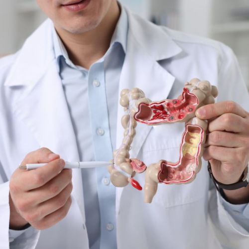 Salud Digestiva: Enfoque desde la Micronutrición Funcional