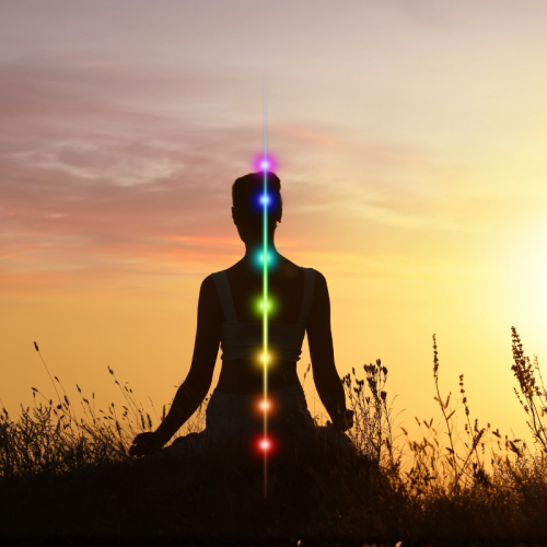 7 alimentos para 7 cuerpos